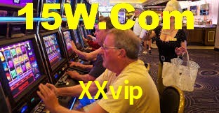 XXvip App Interface